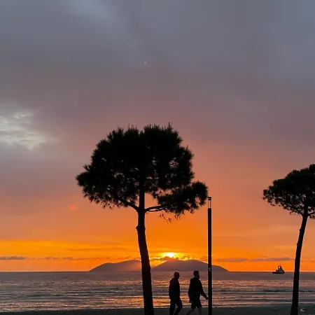 Martin 2c Vlorë