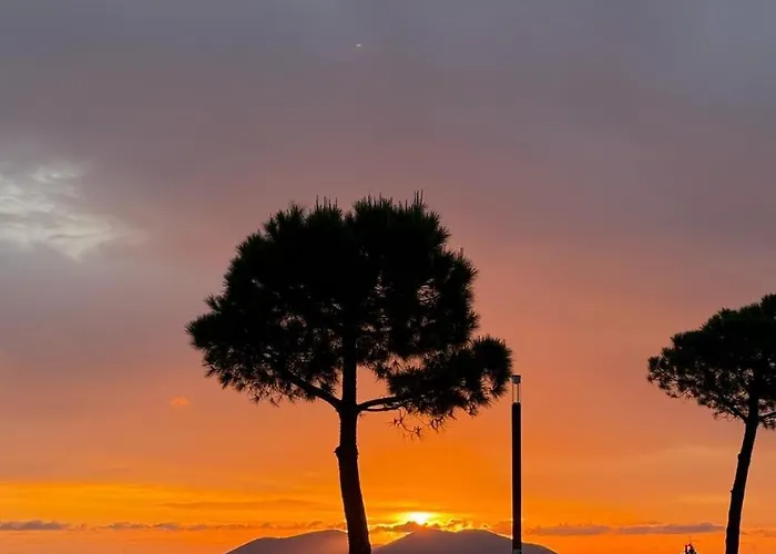 Martin 2c Влёра